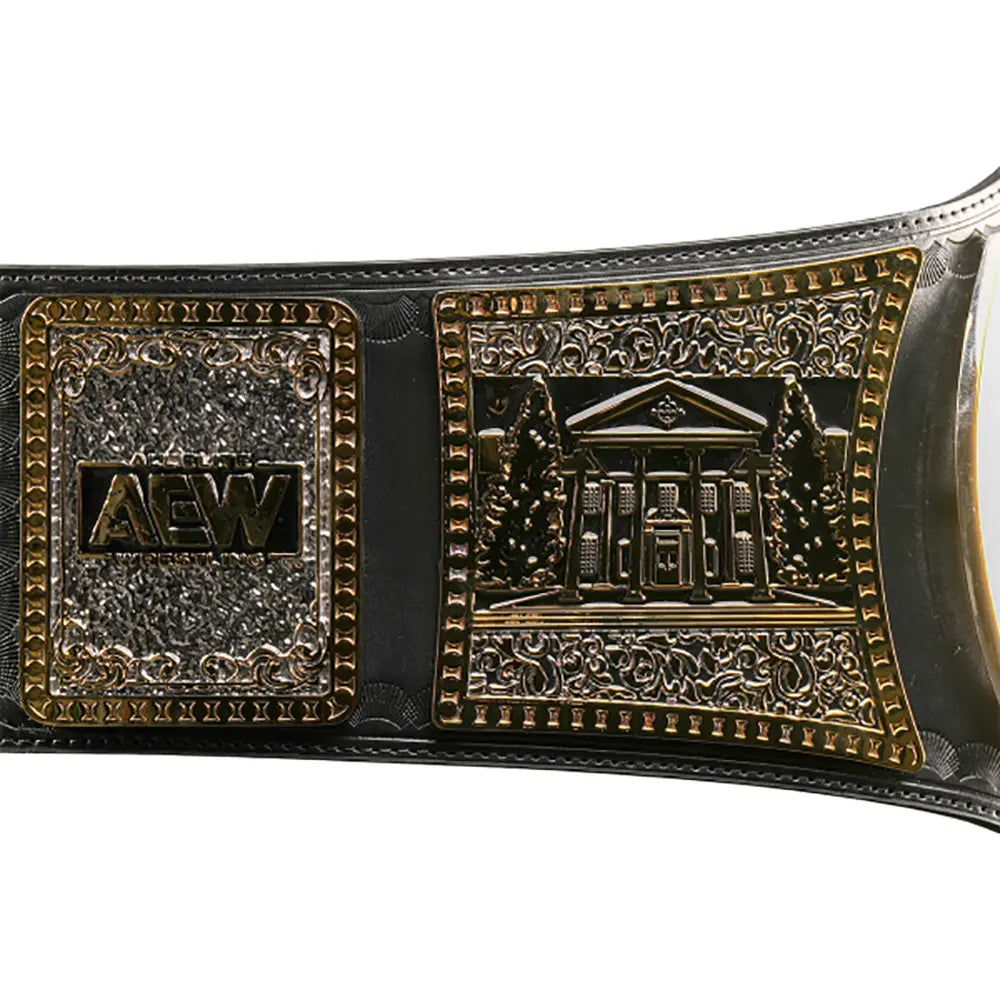 AEW TNT Championship Replica title Belt –