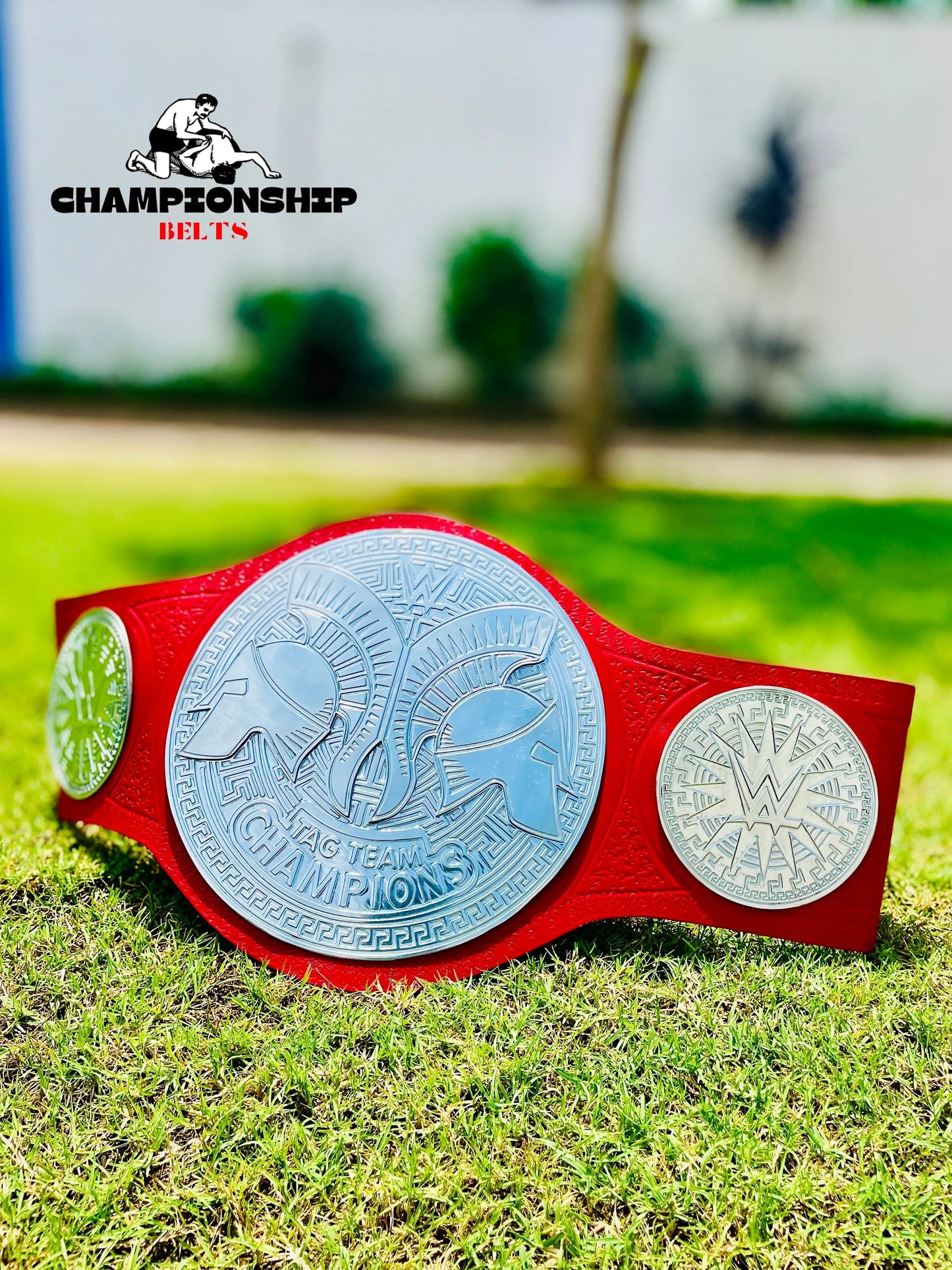 Tag Team Champions World Heavyweight Championship Replica Title Belt