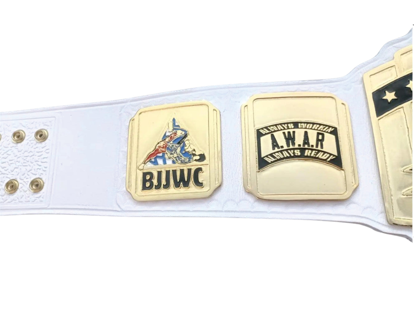 BJJ World Champion A.W.A.R Championship Belt