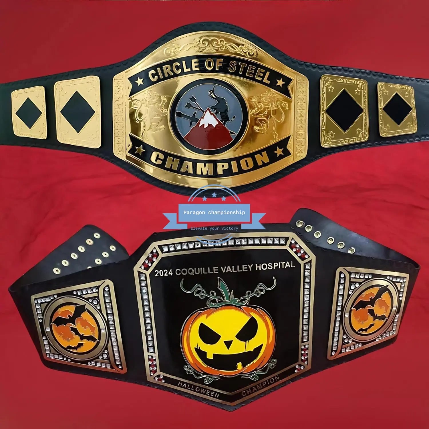 Design Your Own 4lb Custom Wrestling Championship Belt