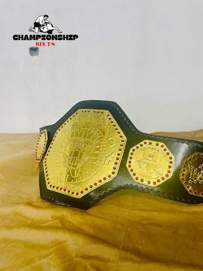 AAA Mega Campeon Mexico Wrestling Championship Replica title Belt