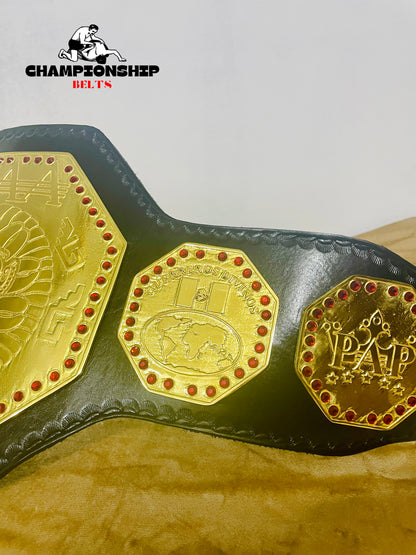 AAA Mega Campeon Mexico Wrestling Championship Replica title Belt