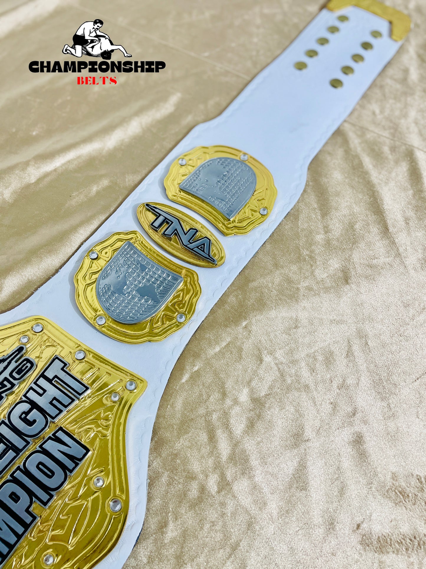 TNA Heavyweight Wrestling Championship Replica title Belt