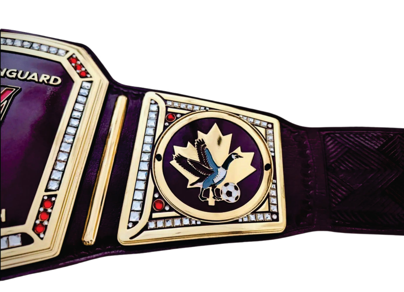 Vermilion Vanguard Player Of The Match Champion Belt