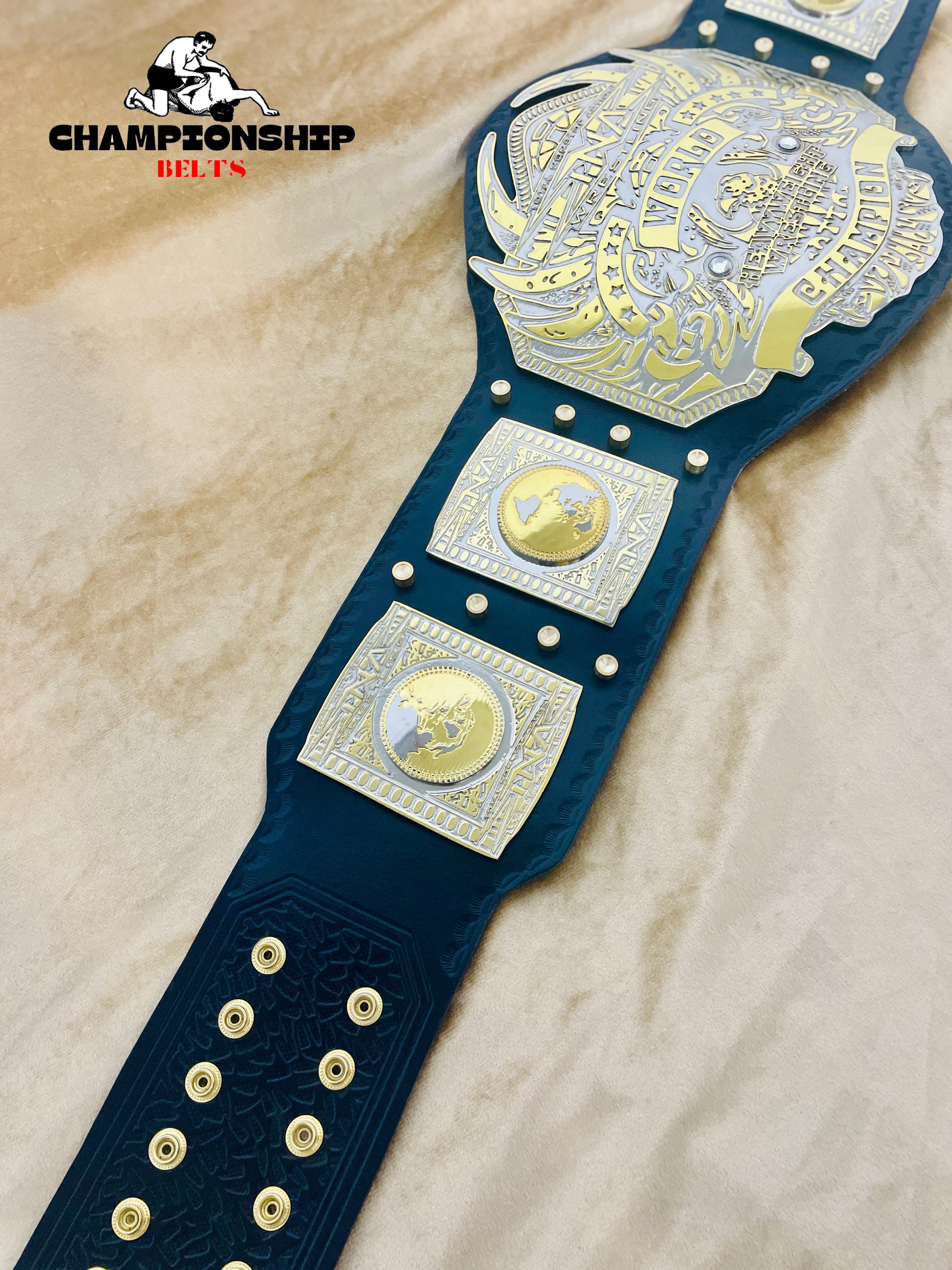 New TNA World Heavyweight Wrestling Championship Belt