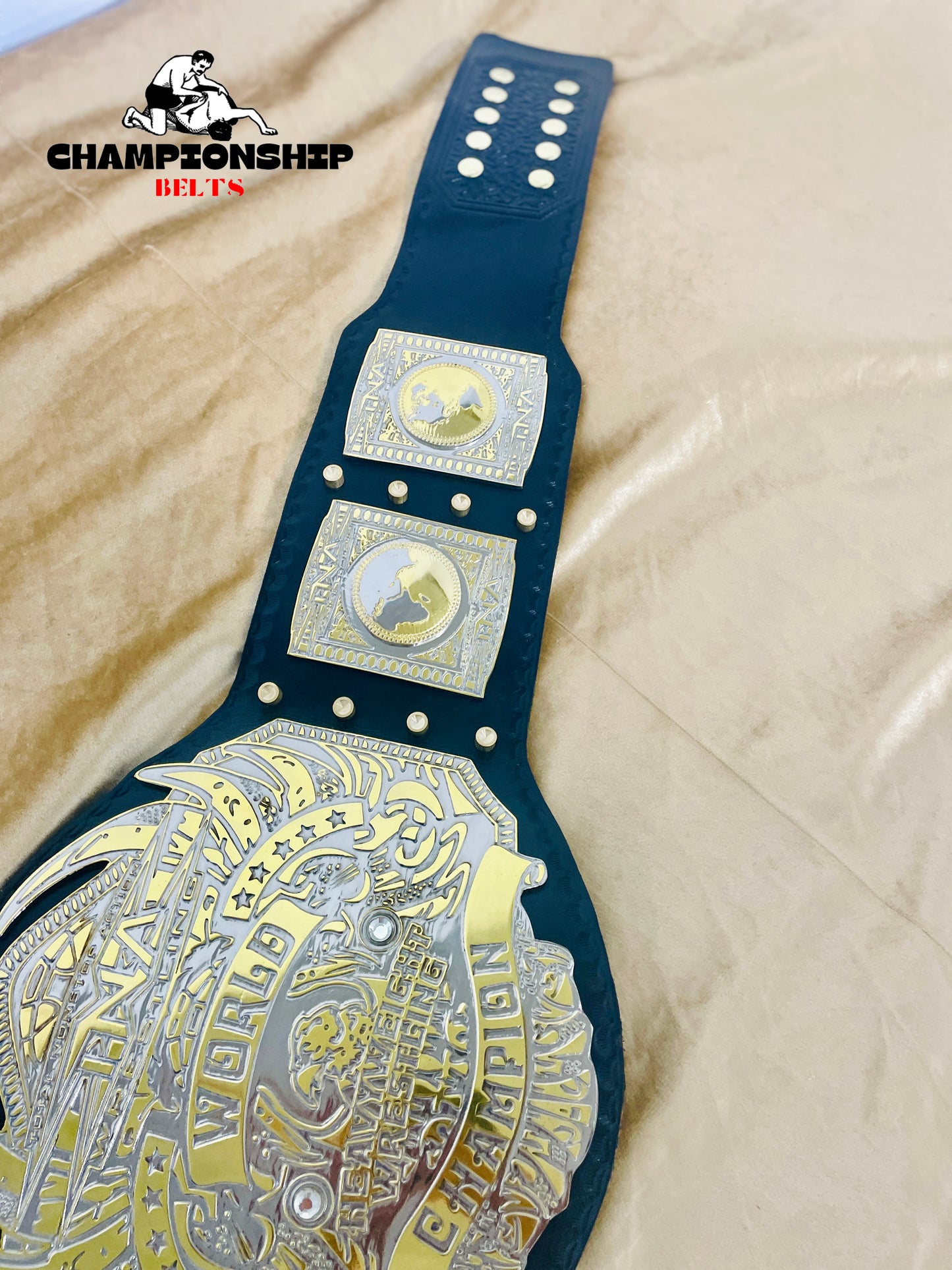 New TNA World Heavyweight Wrestling Championship Belt