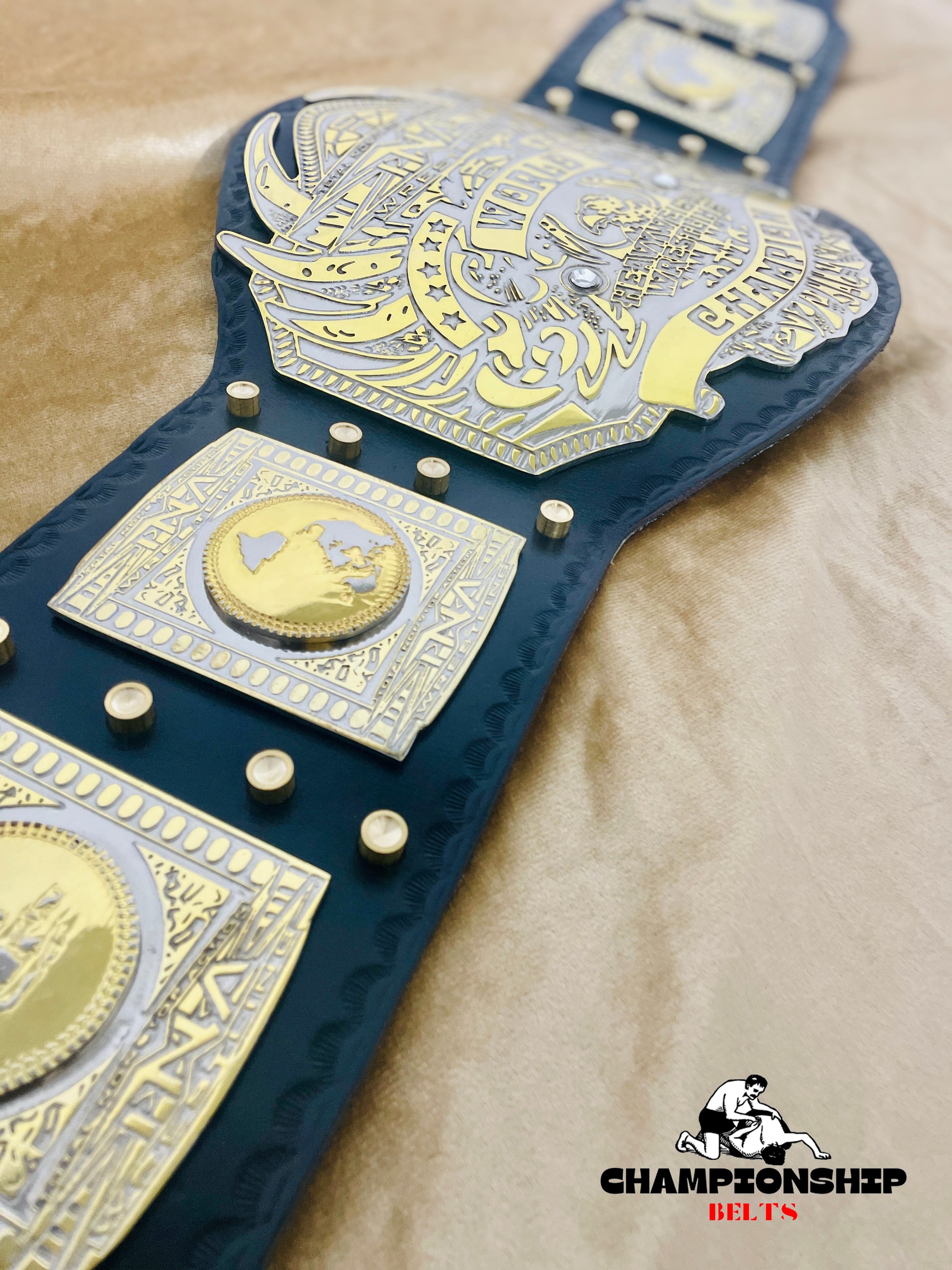 New TNA World Heavyweight Wrestling Championship Belt