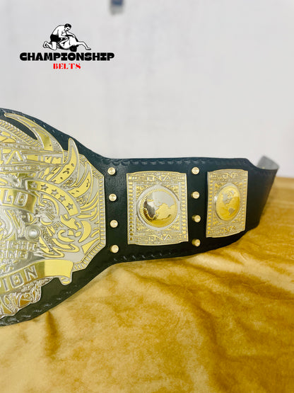 New TNA World Heavyweight Wrestling Championship Belt