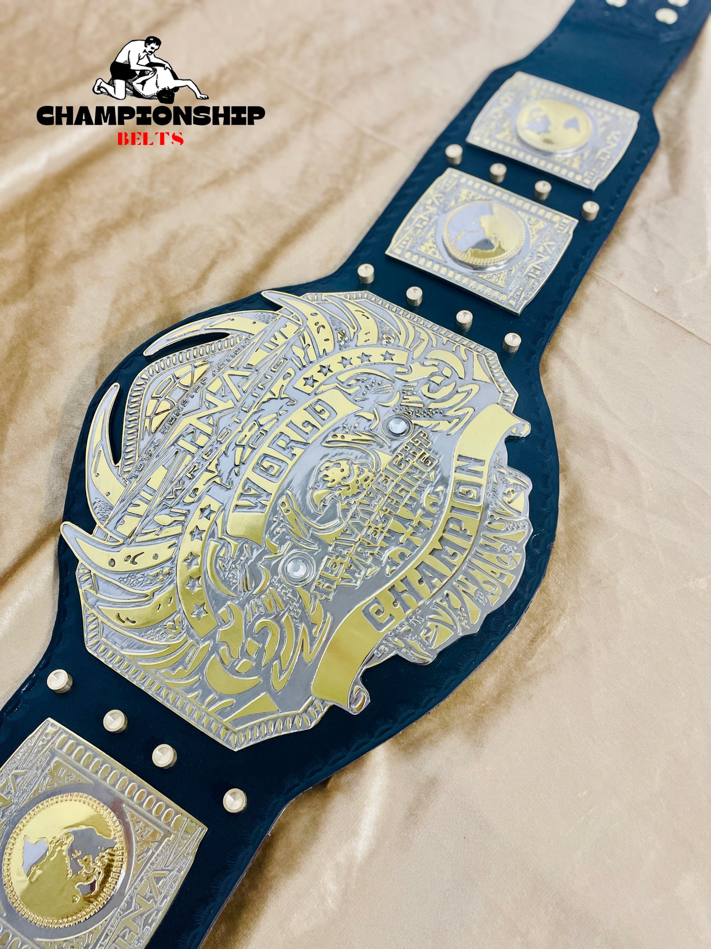 New TNA World Heavyweight Wrestling Championship Belt