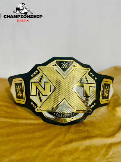 NXT Heavyweight Championship Wrestling Replica Title Belt