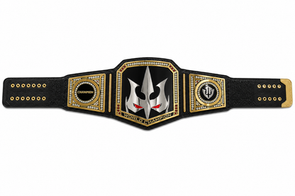 new Custom champion belt  4mm Adult Size