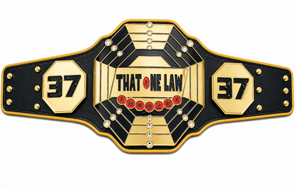 New Custom championship belt Adult Size