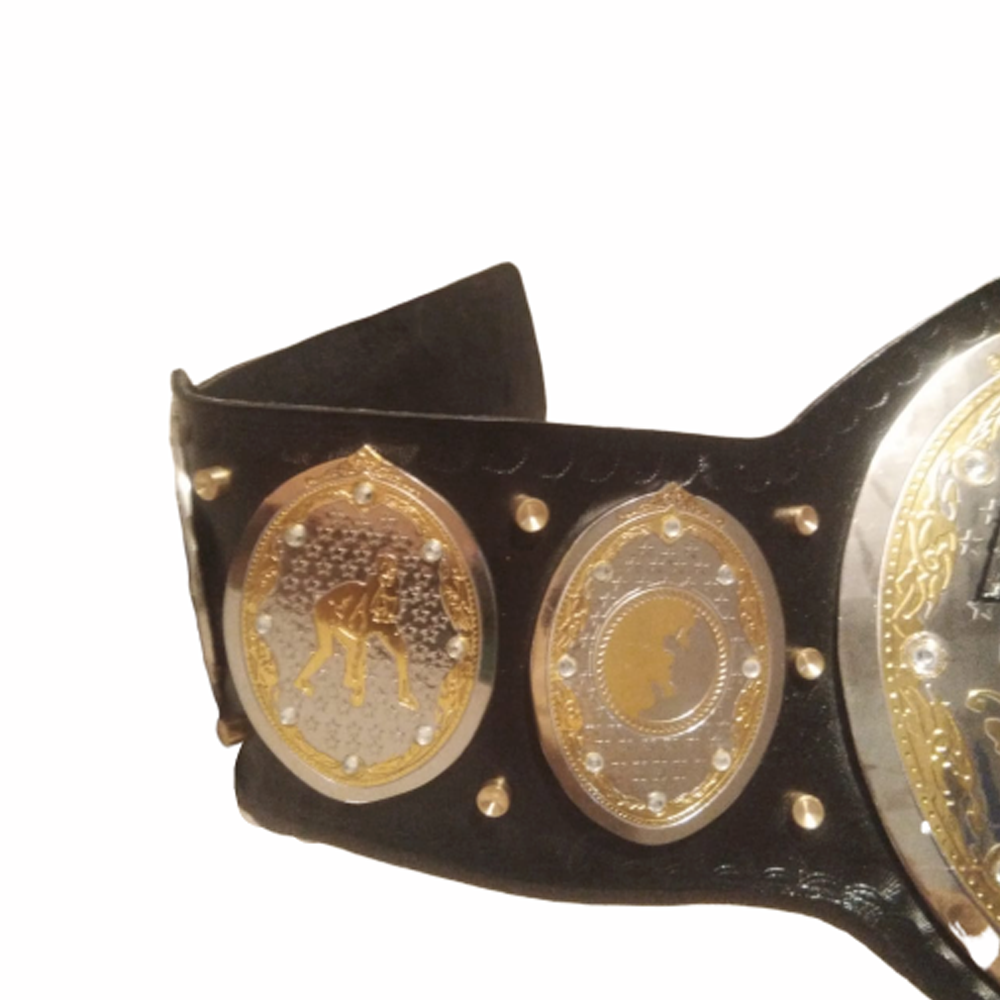 AEW World Women Heavyweight Wrestling Championship Replica title Belt