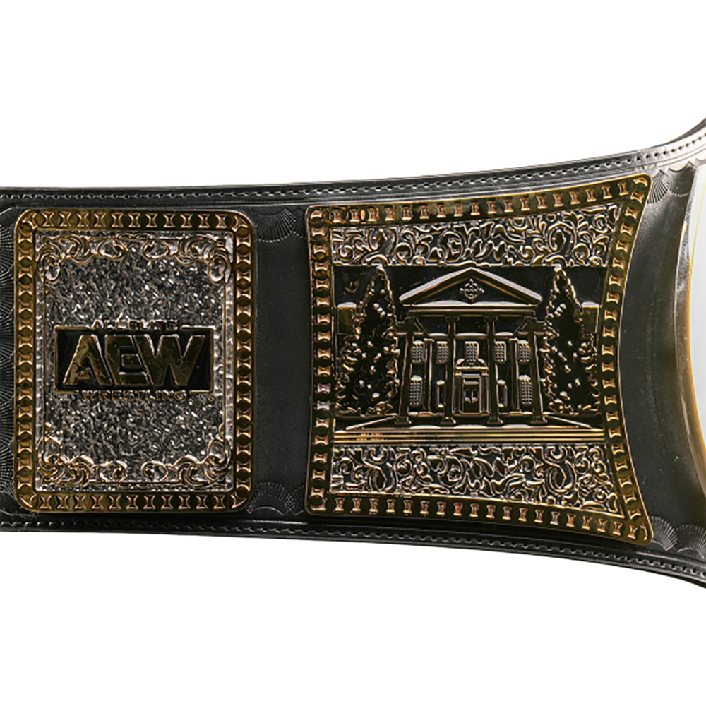 AEW TNT Heavyweight Wrestling Championship Replica title Belt