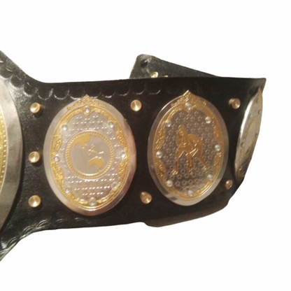 AEW World Women Heavyweight Wrestling Championship Replica title Belt