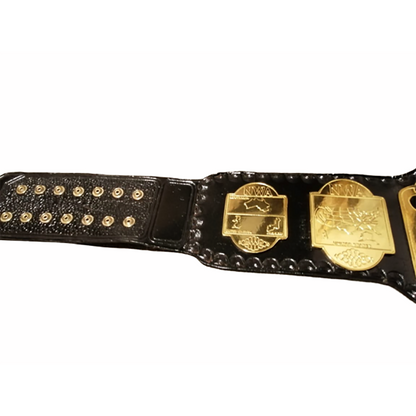 NWA World Heavyweight Wrestling Championship Replica title Belt