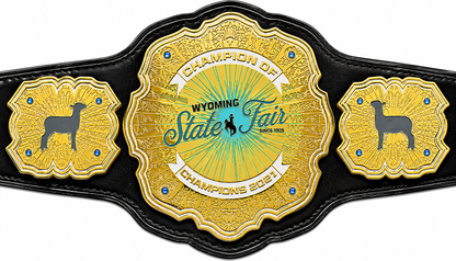 Custom Wyoming State Championship Title belt Cow Hide Leather Strap adult size