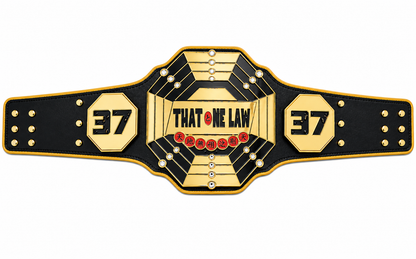 New Custom championship belt Adult Size
