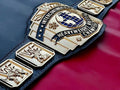 24K GOLD WWF Intercontinental Heavyweight Championship Belt 