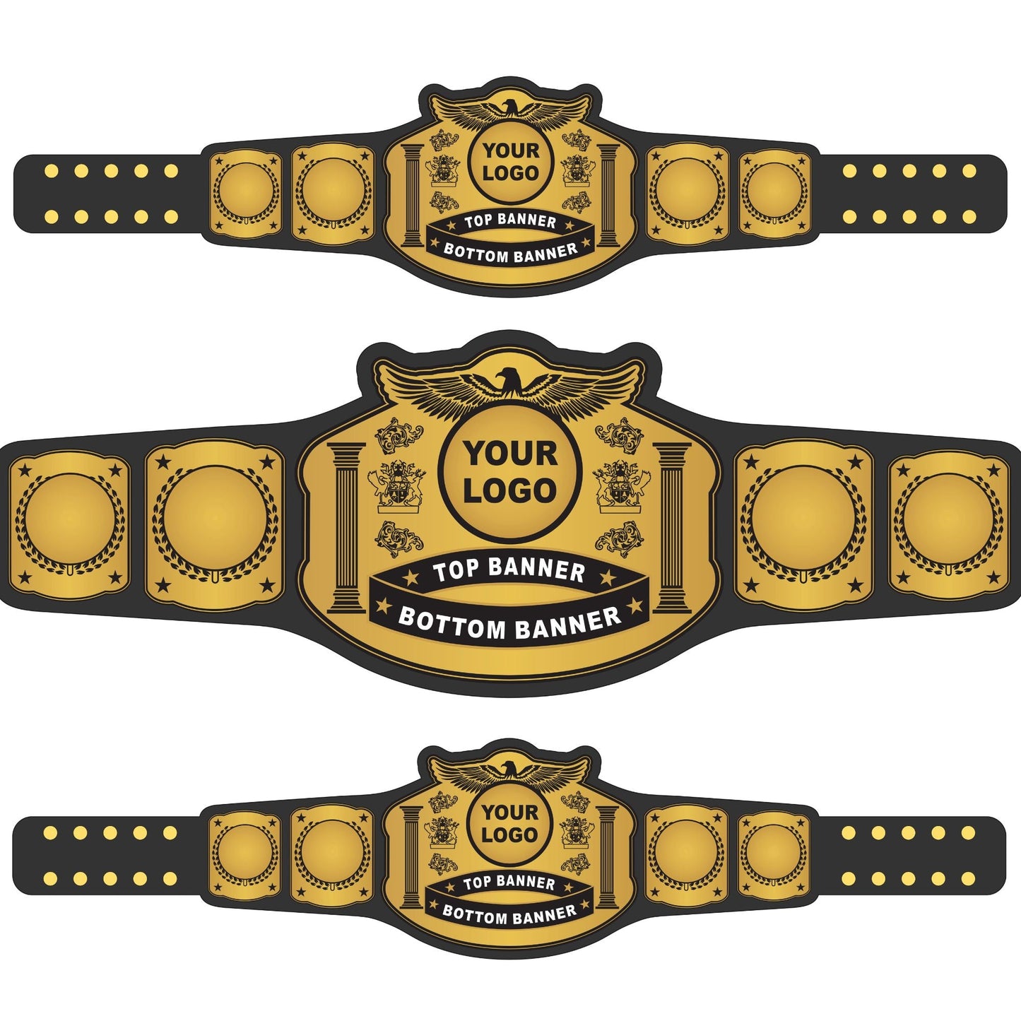 Signature Wrestling Championship Belt