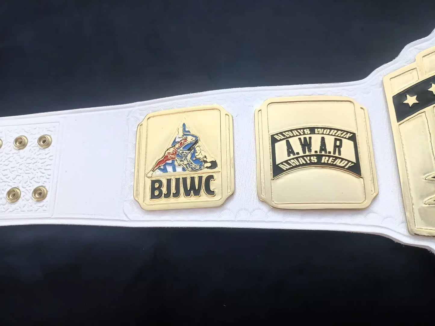 Custom BJJ World Champion Belt – Fully Personalized Jiu Jitsu Award