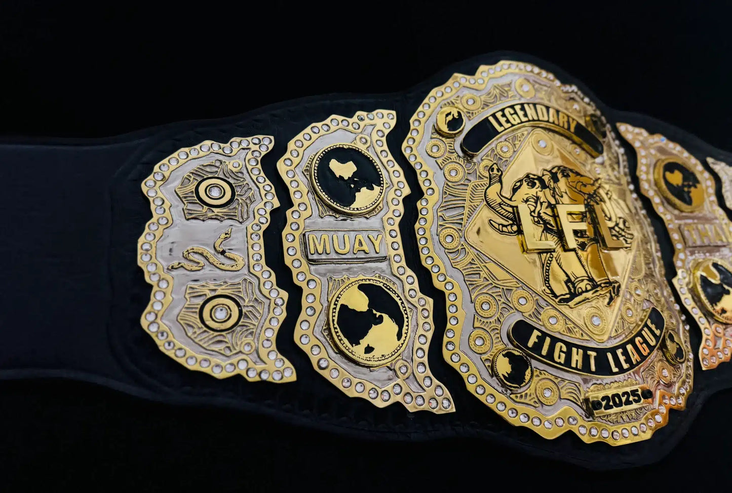 Martial Arts Championship Belts – For Fight Clubs & Events