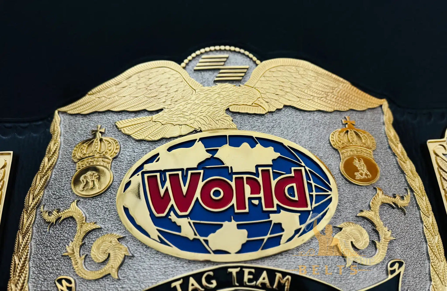 Tag Team World Fitness Championship Belts – Made for HYROX Competition