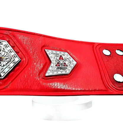 TNA Tag Team Championship Replica Belt