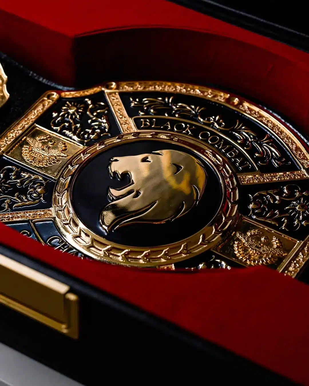 Combat Championship Belt – King Title for MMA, Fight Clubs & Promotions
