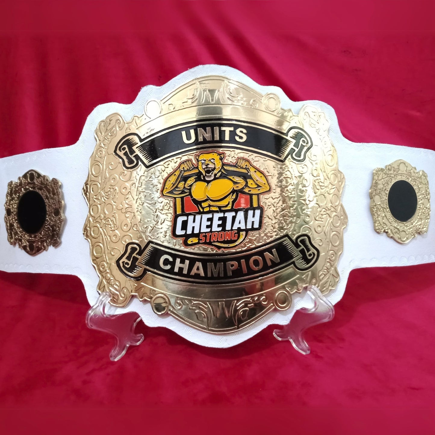 Exclusive Custom Title Wrestling Belt