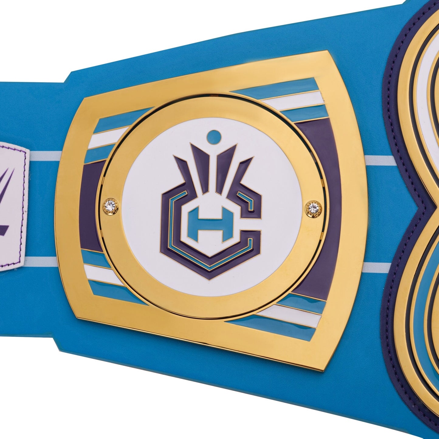 Charlotte Hornets WWE Legacy Title Belt Wrestling Champions