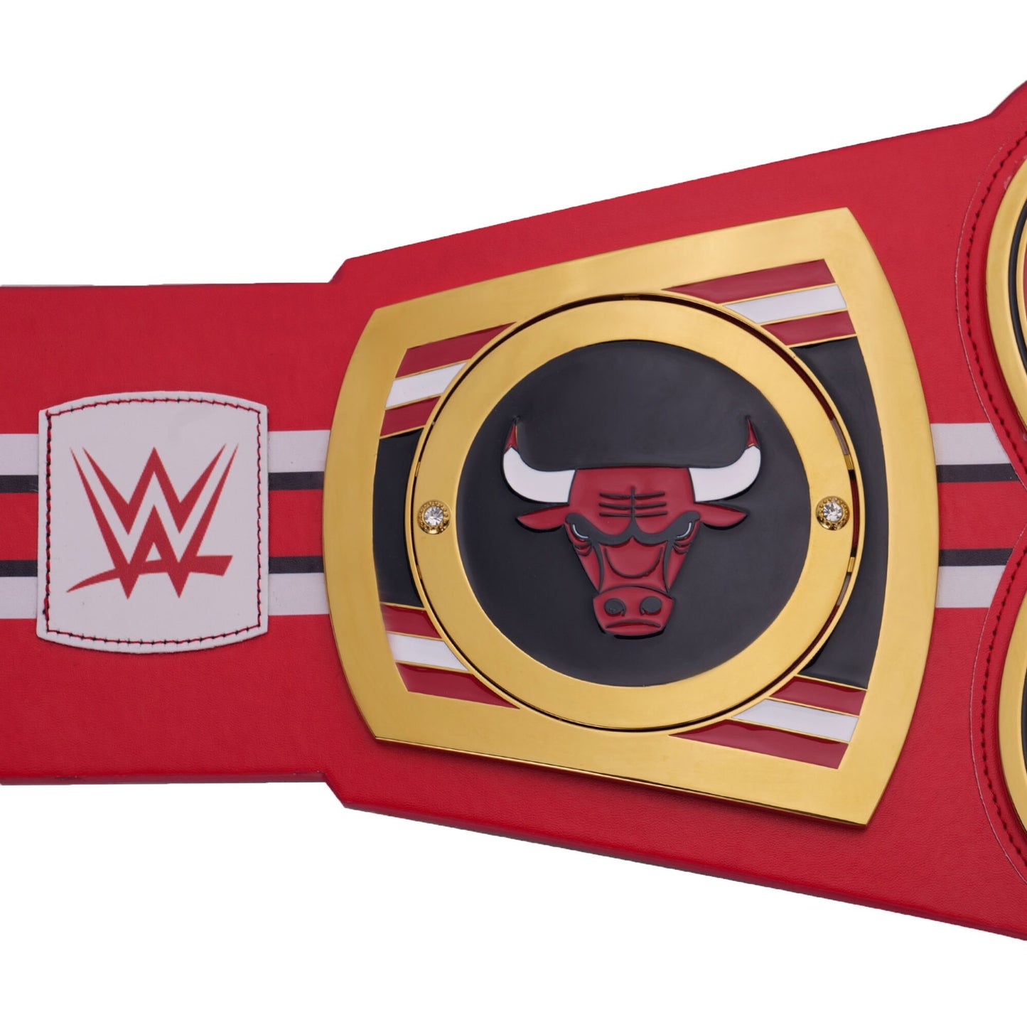 Chicago Bulls Legacy Title Belt Wrestling Champions