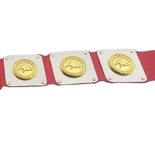 WWWF North American title Heavyweight Wrestling Champion Belt ChampionshipBeltUS