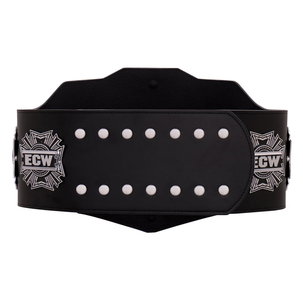 WWE ECW Championship 2008 Replica Title Belt