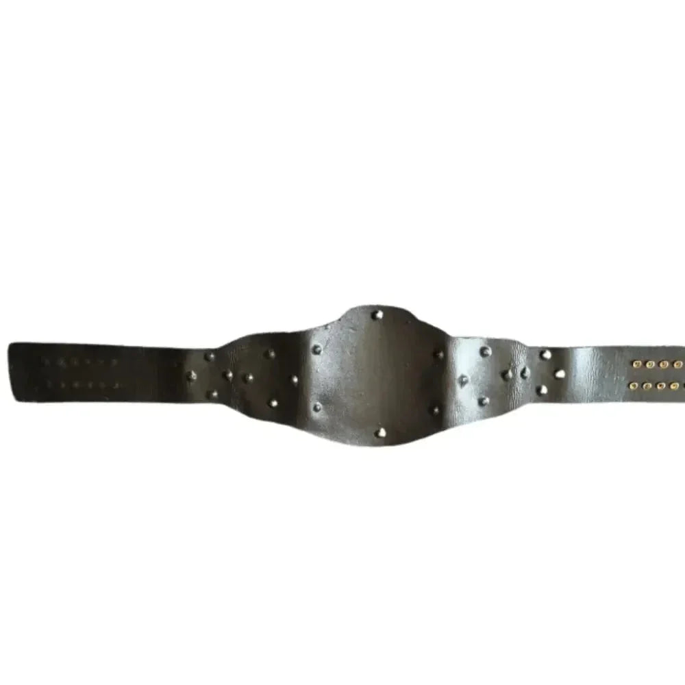 ROH World Tag Team Title replica Championship Belt ChampionshipBeltUS