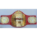 TNA LEGENDS HEAVYWEIGHT wrestling championship title belt ChampionshipBeltUS